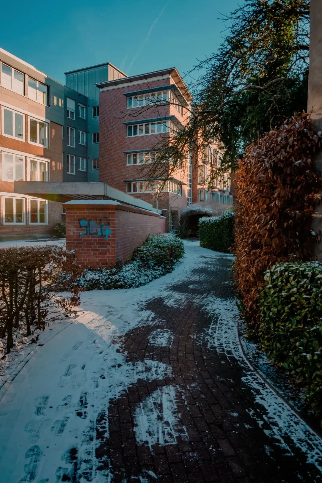 Eloquens Sprachschule 8